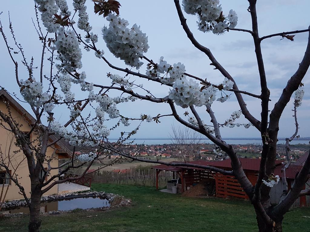 Kincses Vendeghaz 호텔 Balatongyörök 외부 사진